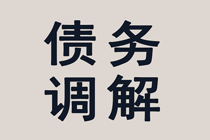 法院诉讼解决债务问题有何后果？